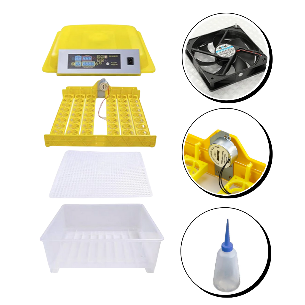 48 Eieren Automatische Digitale Eierbroedmachine